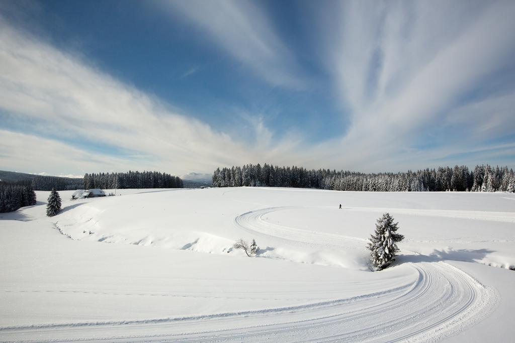 Gasthaus Zum Hirschen Furtwangen Dış mekan fotoğraf